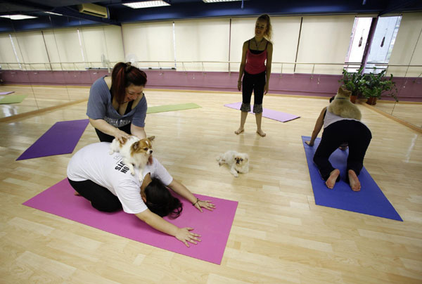 Dog yoga lessons in HK