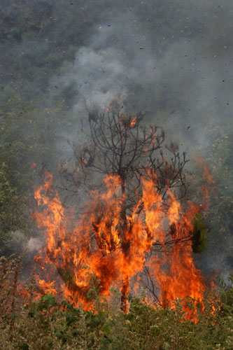 Wildfire burns in SW China