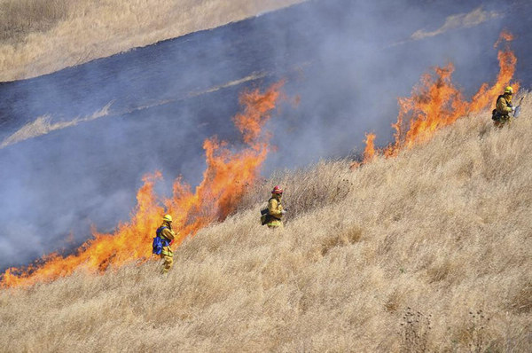Firefighters make progress against blaze near Yosemite