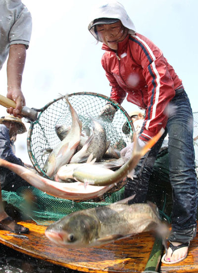 Taihu reopens to fishing after long closure