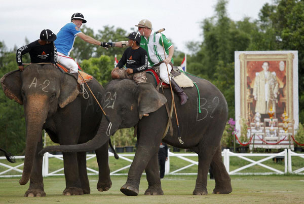 Elephant Polo in Thailand