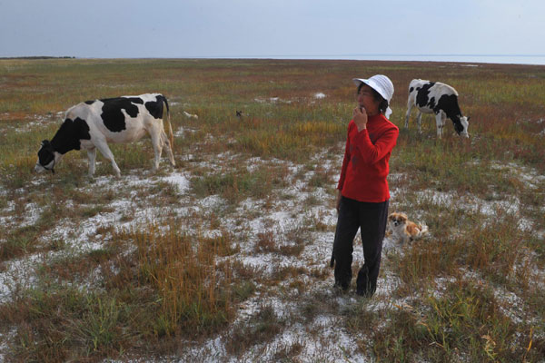 China's largest desert lake shrinking