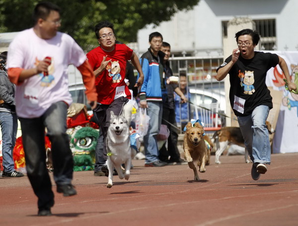 Canines compete in sports meet