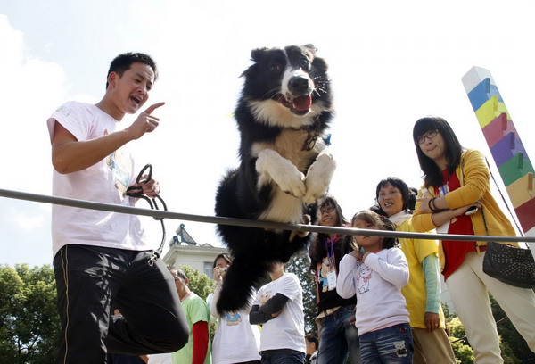 Canines compete in sports meet