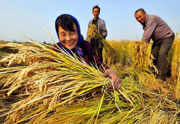 A season of harvest