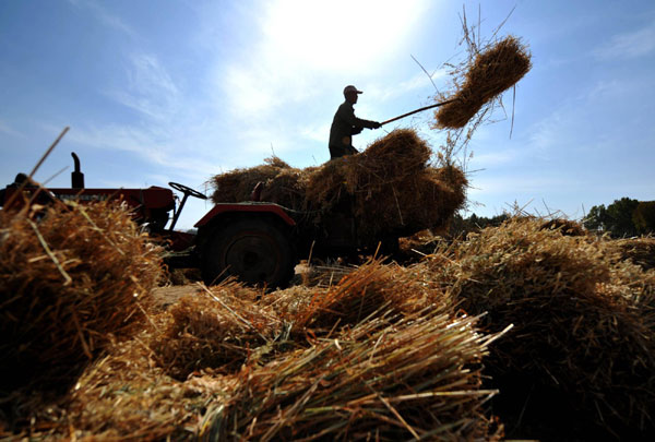 Harvest big time