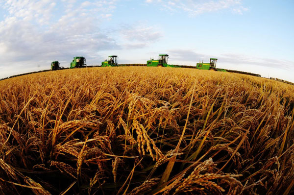 Harvest big time