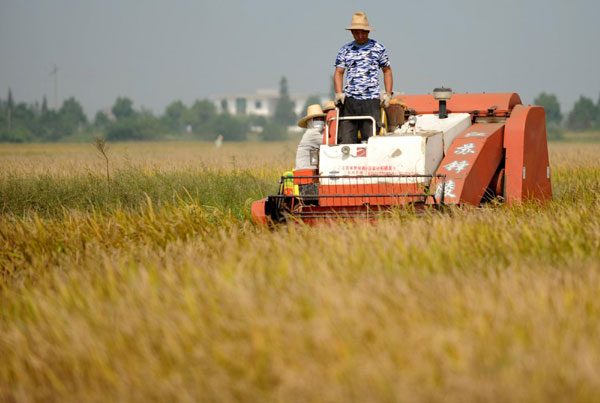 Harvest big time