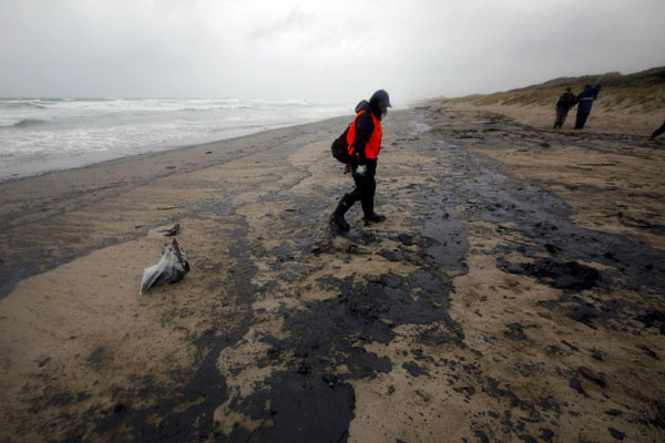 Seabirds die of escaped oil