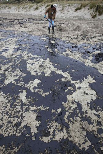 Seabirds die of escaped oil
