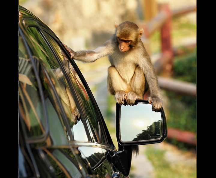 Capturing how cars are changing China