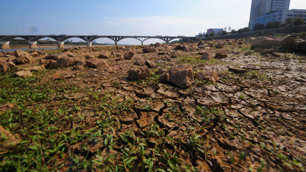 Drought shrinks Xiangjiang River in C China