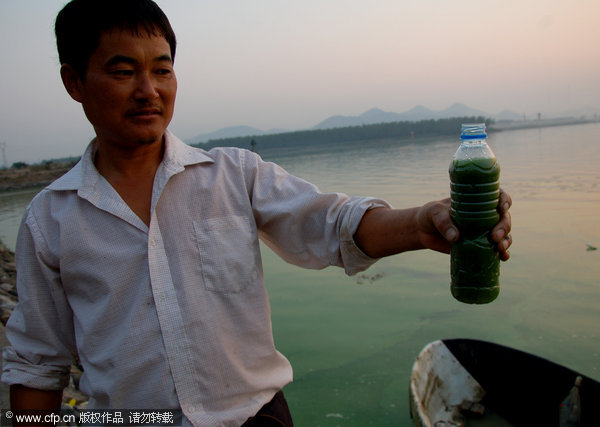 Blue-green algae threatens Chaohu Lake