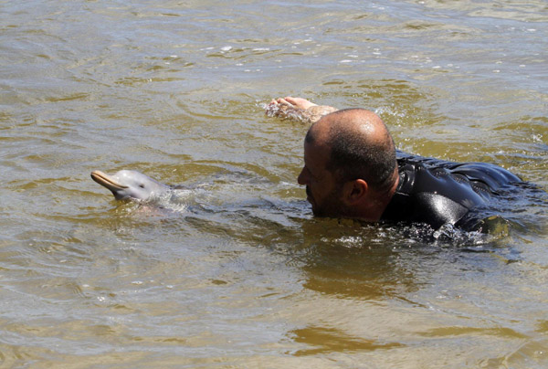 Baby dolphin rescued