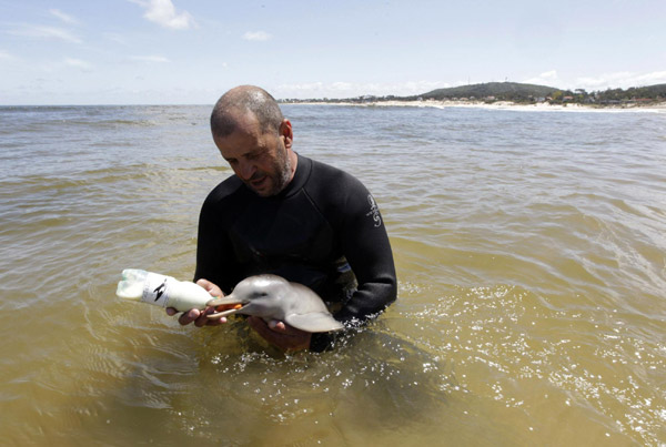 Baby dolphin rescued