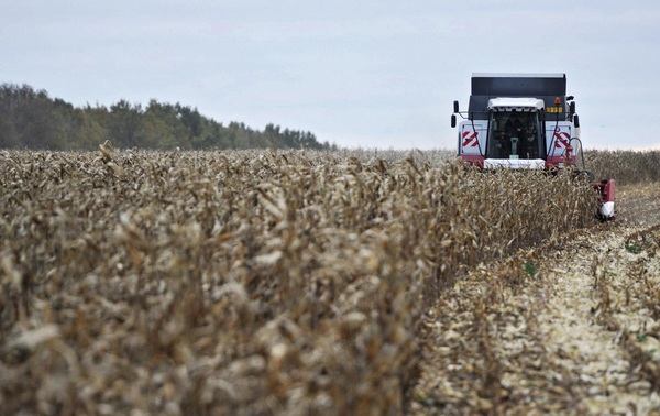 Putin, Medvedev visit Stavropol farm