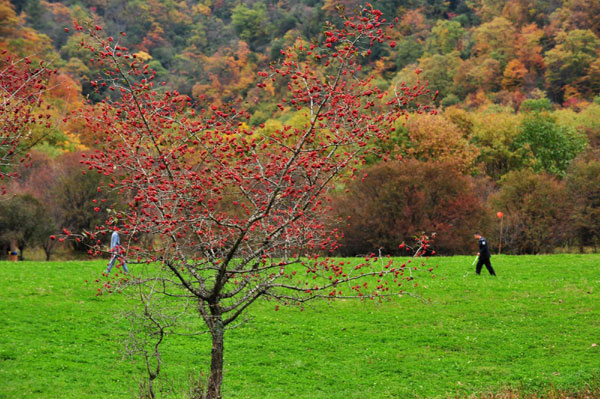 Autumn photos: Wetland view