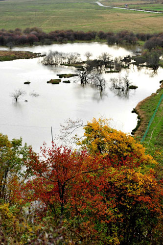 Autumn photos: Wetland view