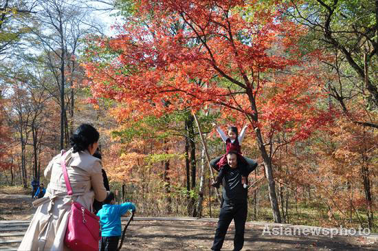 Autumn photos: Color of red