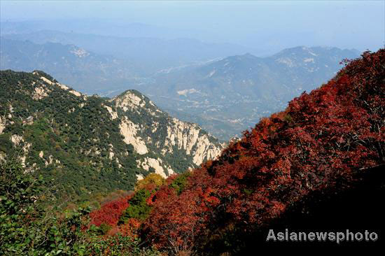 Autumn photos: Mount Tai shines