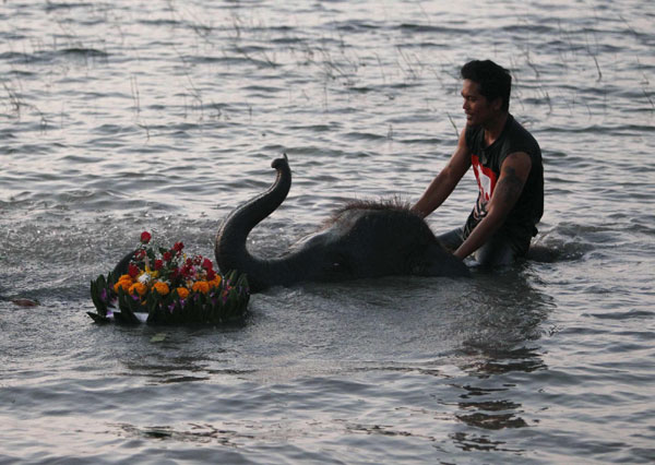 Thai people celebrate Loy Krathong festival