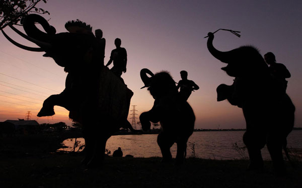 Thai people celebrate Loy Krathong festival