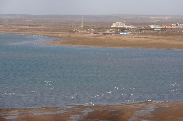 Fish becoming rare as lake shrinks