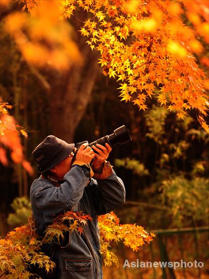 E China bursts with fall colors