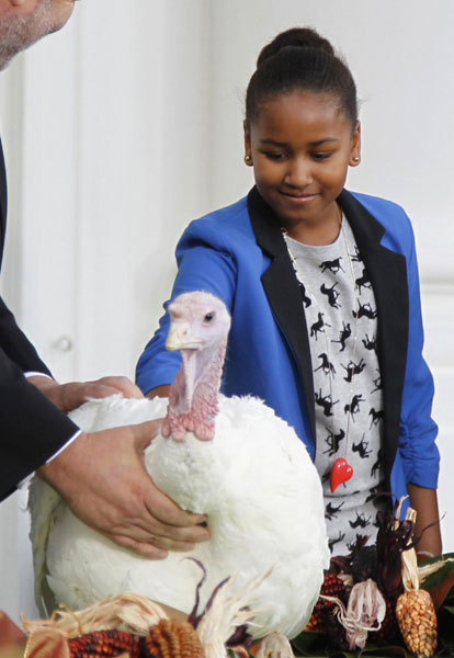Obama pardons Thanksgiving Turkey at White House