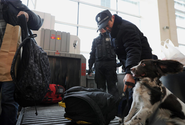 Police dogs help keep railway stations safe