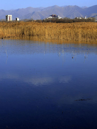 10% of China’s wetlands is in Tibet