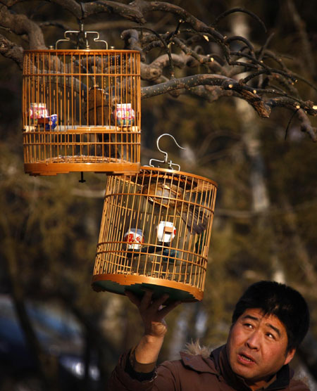 Beijingers walk pet birds to have fun