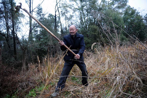 91-year-old plants 570,000 trees over 40 yrs
