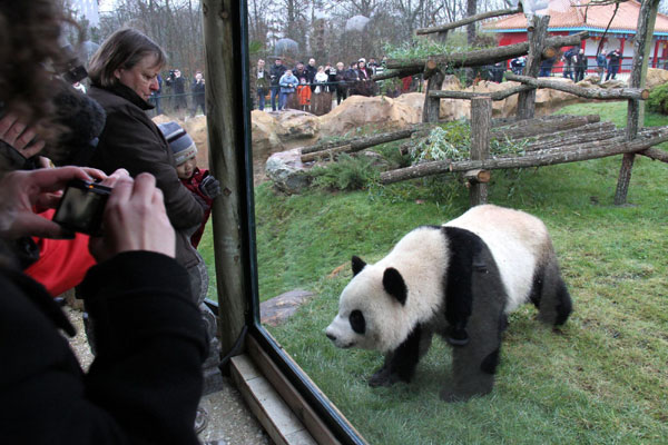 Chinese pandas begin new lives in France
