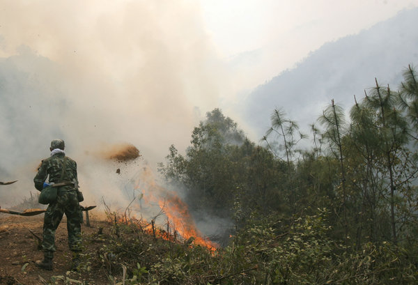 Yunnan forest fire under control
