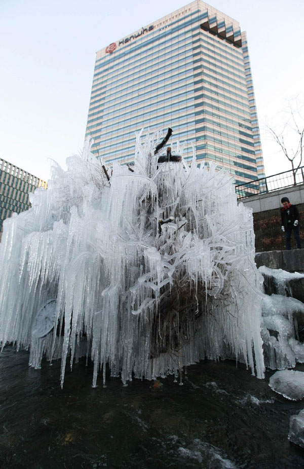 Snapshots in Seoul