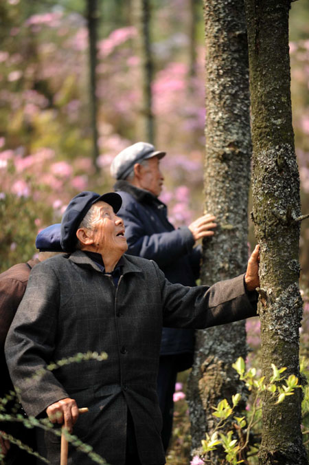 Friends turn mountain into luscious forest