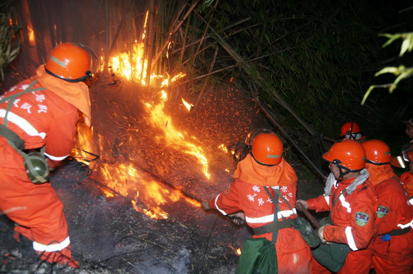 Firefighters battle forest fire in SW China