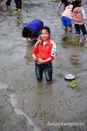 Children help with spring plowing in SW China