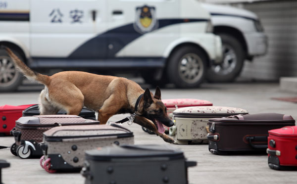 Police dogs show skills in competition