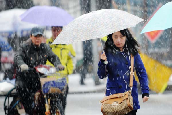 Snowfall hits NE China's Harbin