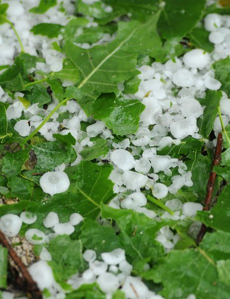 Hailstorm hits SW China's Guizhou province