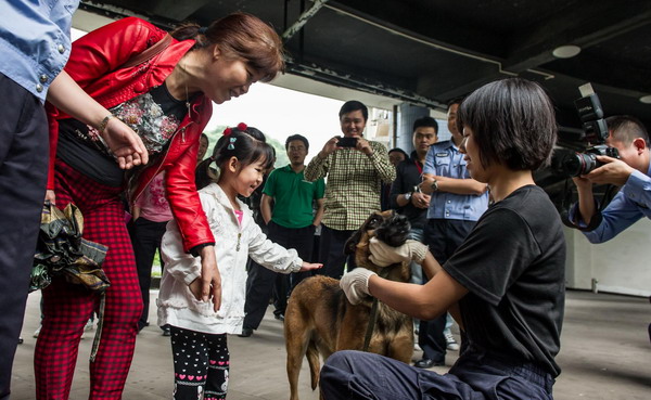 Chongqing shows off its police dogs