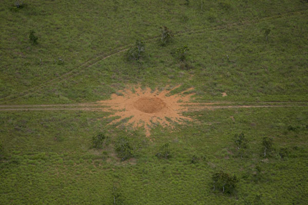 Airstrip for smuggling destroyed in Venezuela