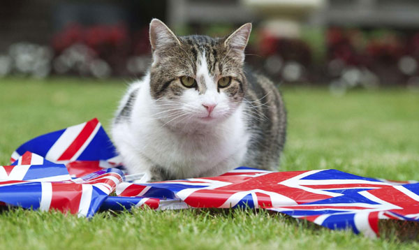 Celebration for UK Queen's diamond jubilee starts