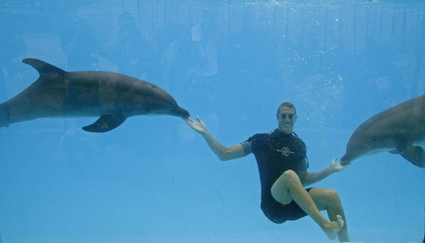 Swimming with dolphins