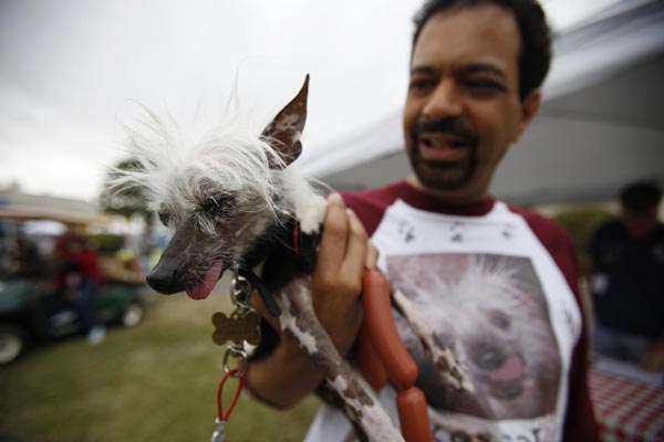 World's Ugliest Dog Contest