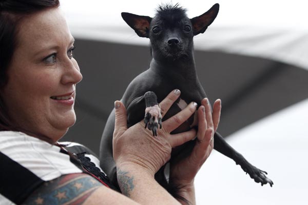 World's Ugliest Dog Contest