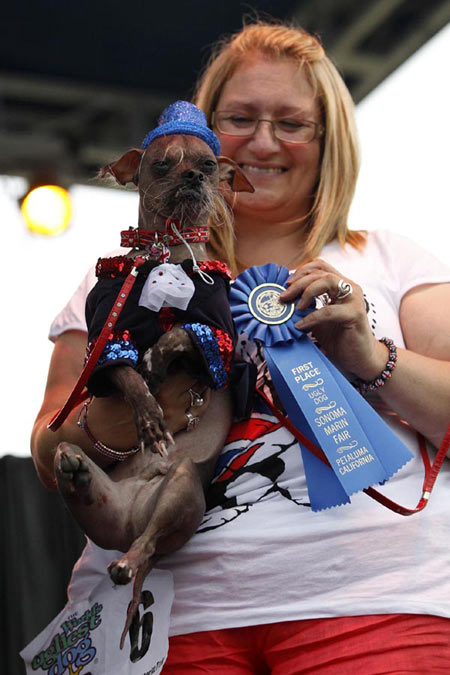 World's Ugliest Dog Contest
