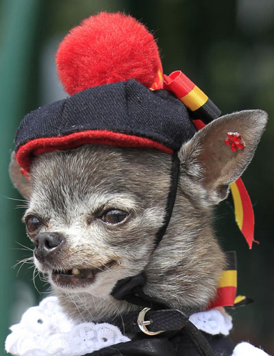 Belgium celebrates National Day